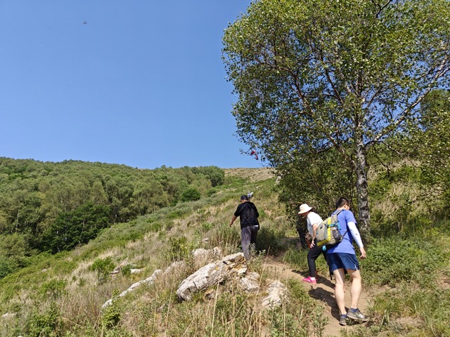 江水河村登灵山的野径。这些登山径都是人走出来的。路上有很多成团出行的游客，还有小朋友也在一块登山。